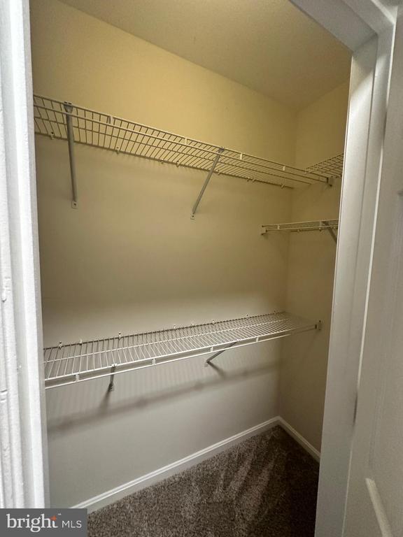 Building Photo - 1526 Northern Neck Dr