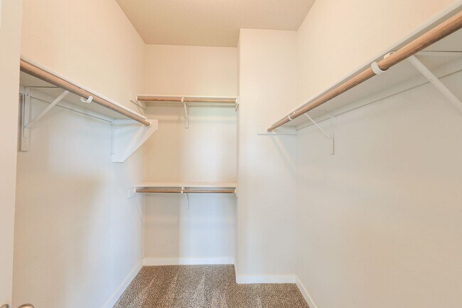 Building Photo - Large Modern Four Bedroom Duplex