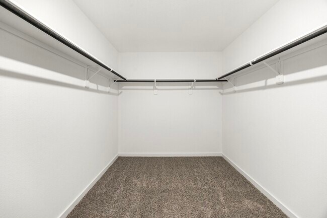 Building Photo - 2732 Misty Elm Ln