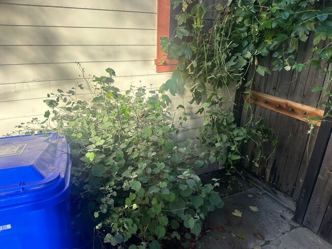 Building Photo - Charming 3 Bedroom 2 bathroom back house in the heart of San Diego's most desirable neighborhoods!