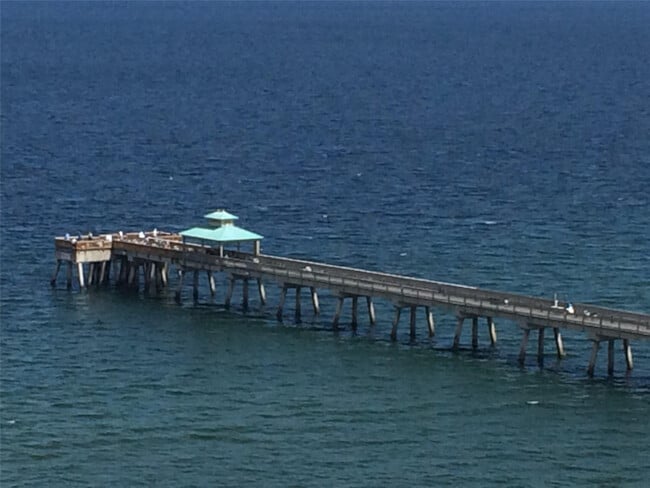 Building Photo - 333 NE 21st Ave