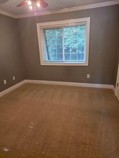 Building Photo - 127 Rondak Cir