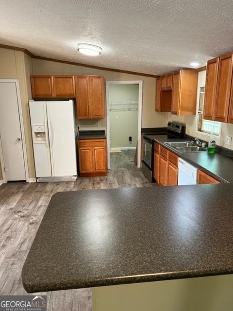 Building Photo - 4002 Candy Ln