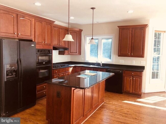 Building Photo - 8533 Gallahan Ct