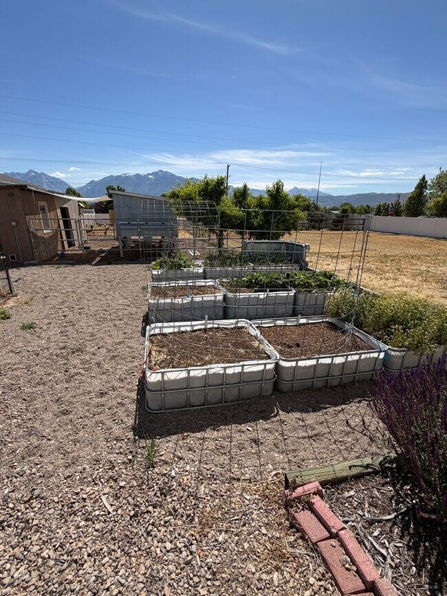 Building Photo - GORGEOUS SPACOUS HOMESTEAD!!!