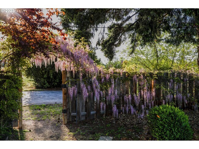 Building Photo - Great Home on 1/3 Acre