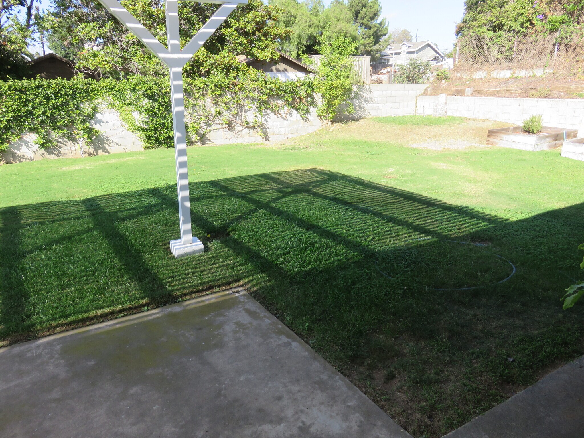 Building Photo - 1136 Larkspur Ln