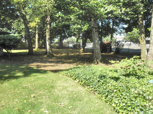 Yard - Kaskela Manor Apartments