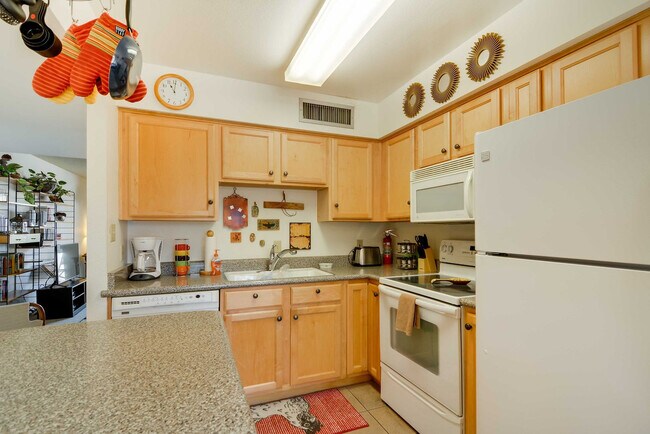 Building Photo - 445 S Desert Palm