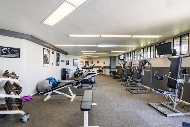 Building Photo - 2901 P337 |  Marina Monthly Rental | Month...