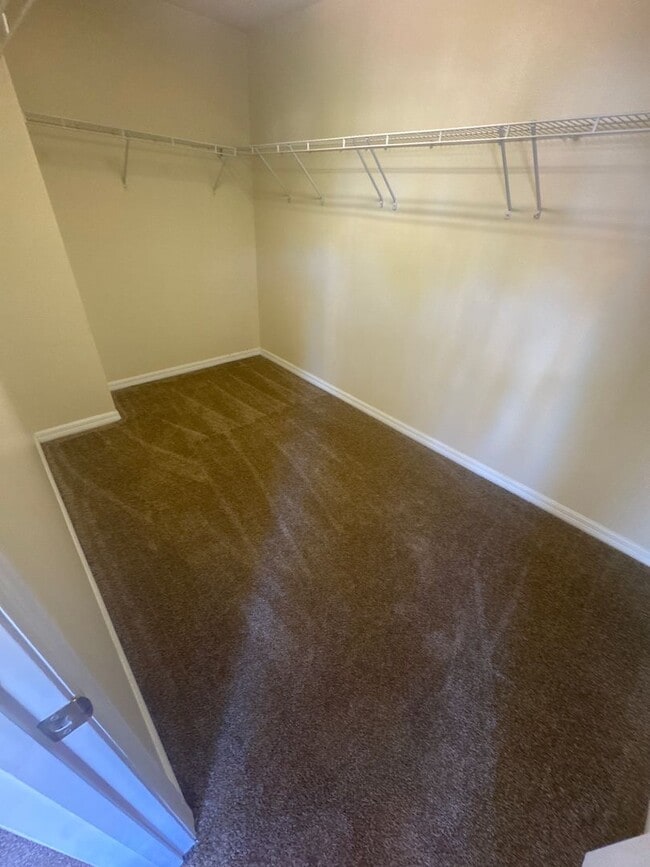 Building Photo - Lovely Large 5/4 Pool Home in West Haven