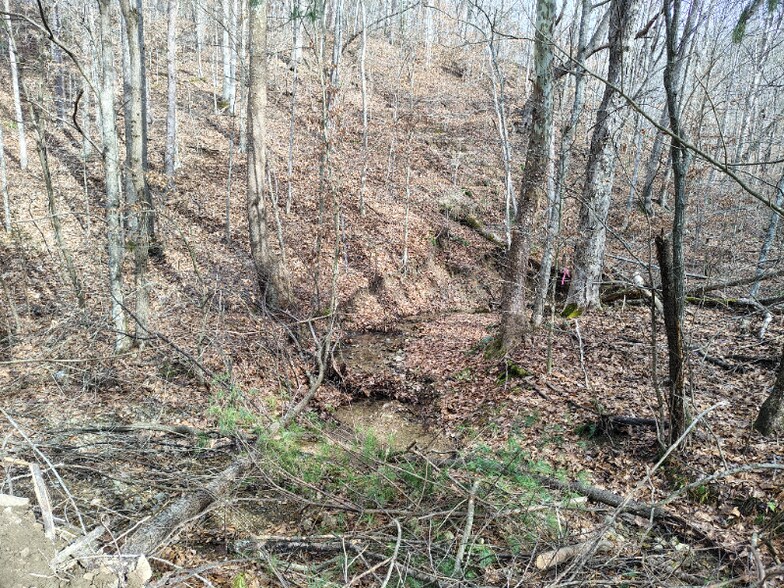 Building Photo - 362 Ester Spur Rd