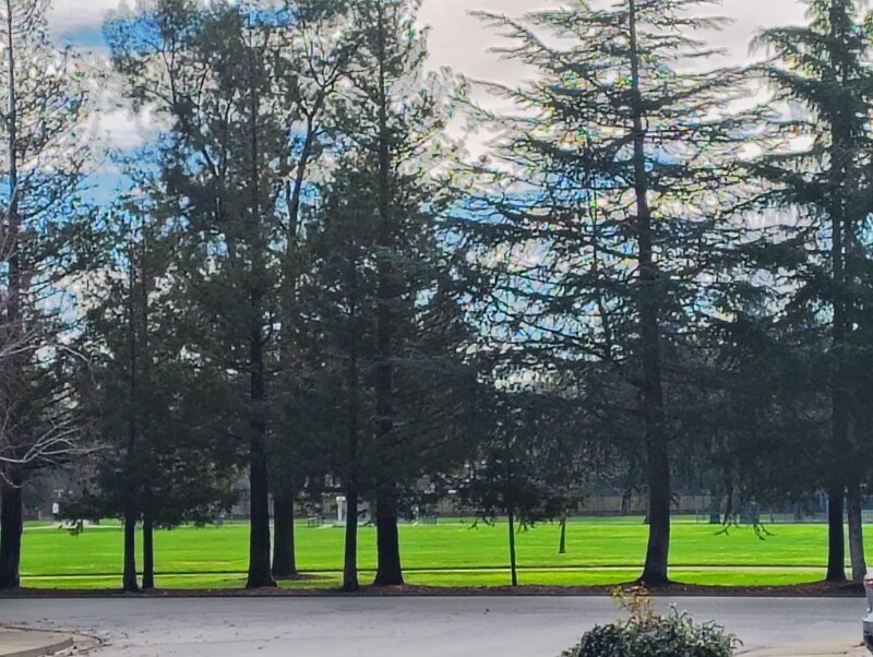 Building Photo - 3116 Joanne Cir