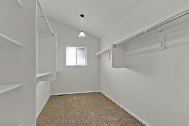 Building Photo - 705 Witchhazel Ct