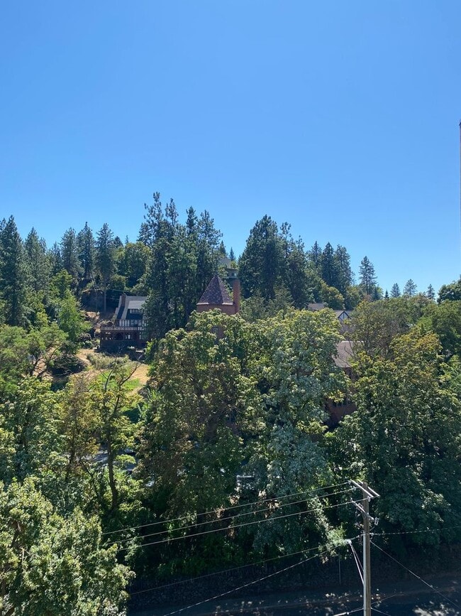 Building Photo - Class and Style! 3 Bed, 2 Bath South Hill ...