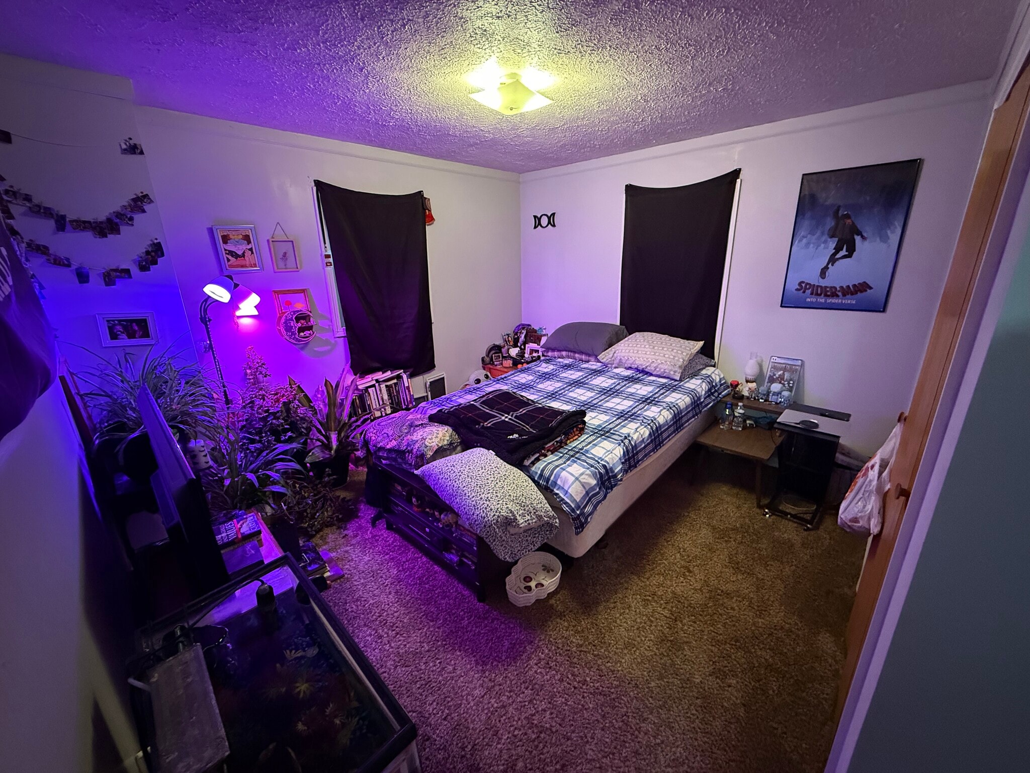 Building Photo - 929 Union Ave