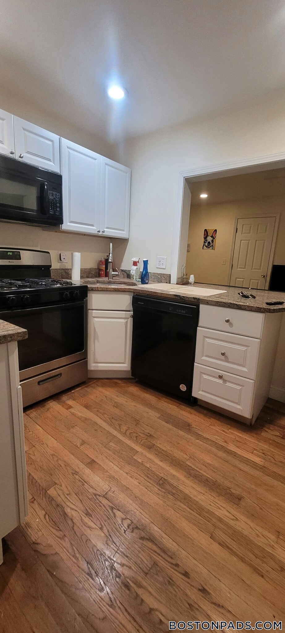 Building Photo - 62 Egmont St