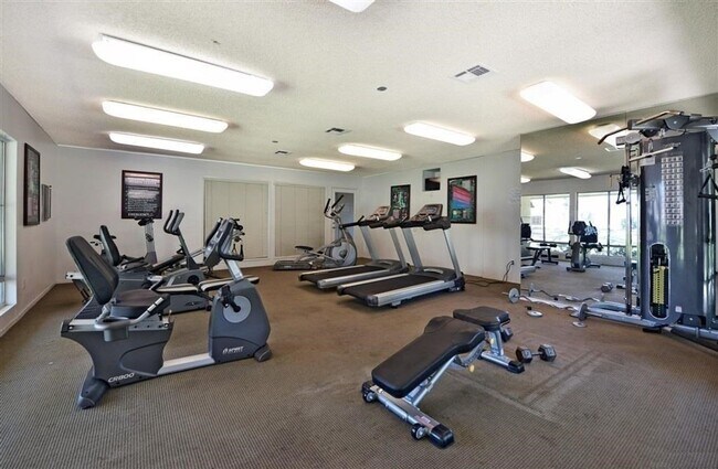 Building Photo - Lower Level Condo in Gated Arbor Hill!