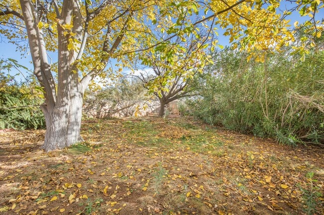 Building Photo - 3 Bedroom 2 Bathroom Home - Dogs Allowed & Large Backyard!