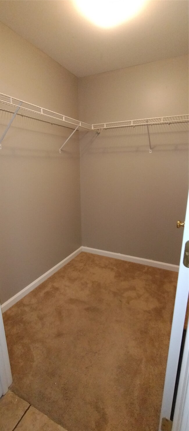 Building Photo - 1201 Spring Creek Ln