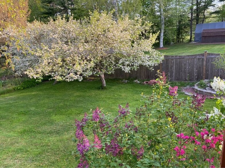 Primary Photo - 284 Dalton Division Rd