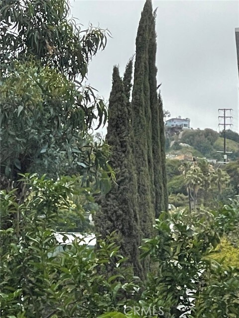 Building Photo - 1124 N La Cienega Blvd