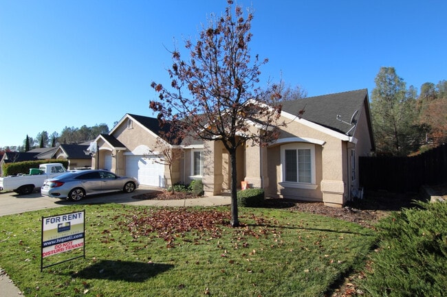 Primary Photo - Spacious Placer Pines Home