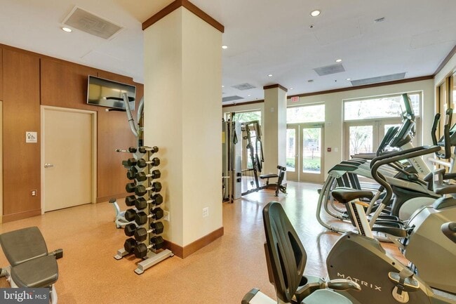 Building Photo - This contemporary, sun-drenched condo is perfect for you!