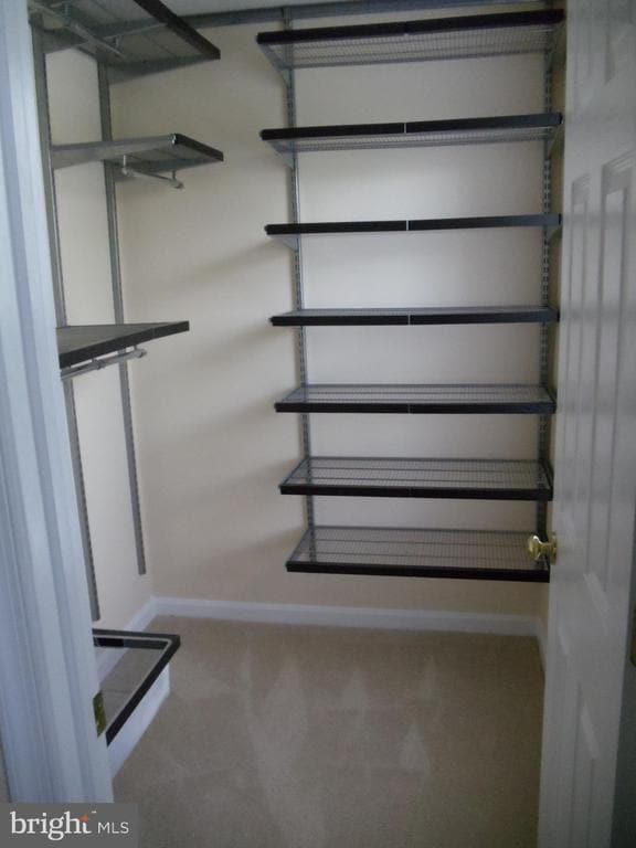 Building Photo - 1541 Northern Neck Dr