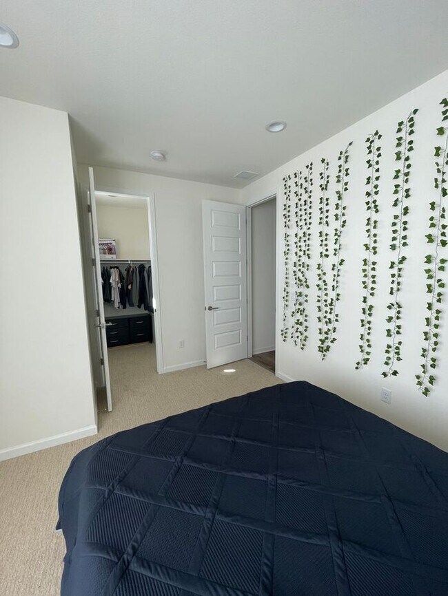 Building Photo - Gorgeous 4 Bed 2.5 Bath New Build in Timnath!