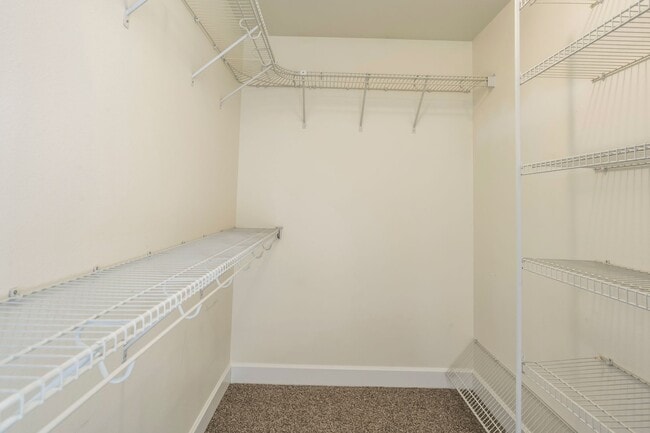 Building Photo - Spacious 4-Bedroom Home with New Paint & Carpet, Fenced Yard