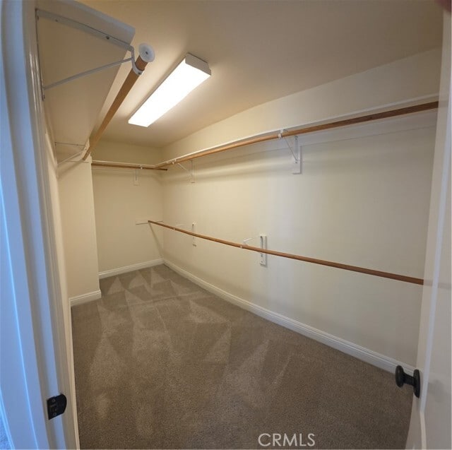 Building Photo - 417 Beryl Cove Way