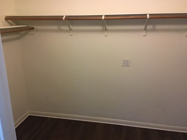 Building Photo - 3926 Cloudbluff Ln