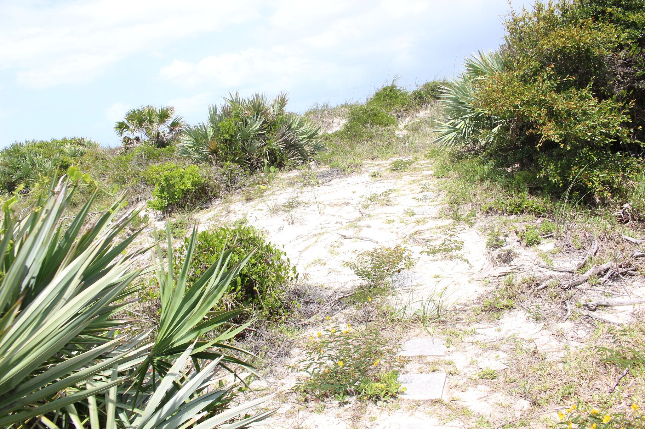 Building Photo - 1215 N Atlantic Ave