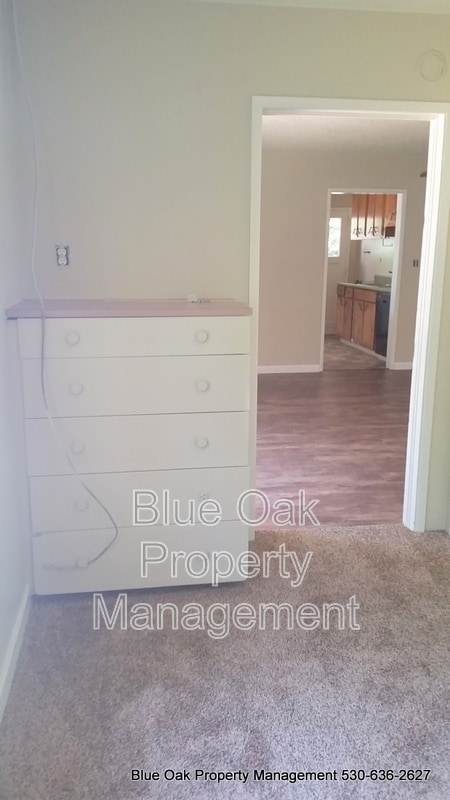 Building Photo - 1025 Ivy St