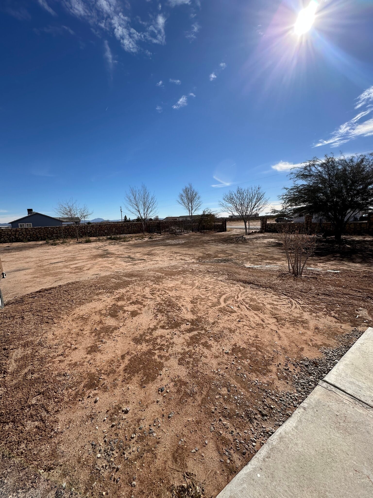 Backyard - 301 Alamosa