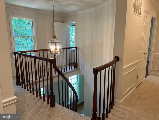 Building Photo - 10101 Alsace Ct