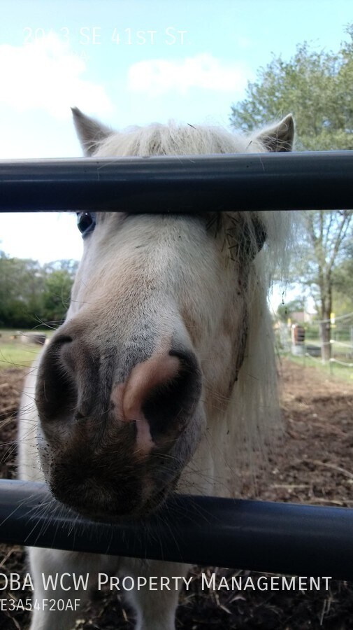 Building Photo - 2043 SE 41st St