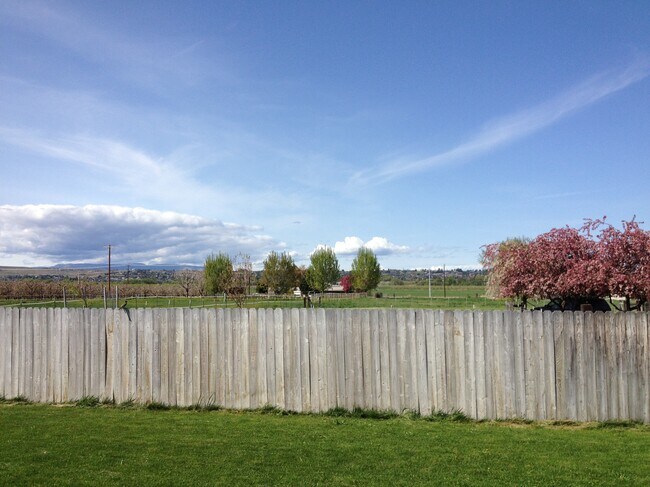 Back yard w/patio - 5905 W Whatcom Ave