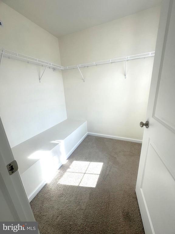 Building Photo - 121 Mazzeo Dr