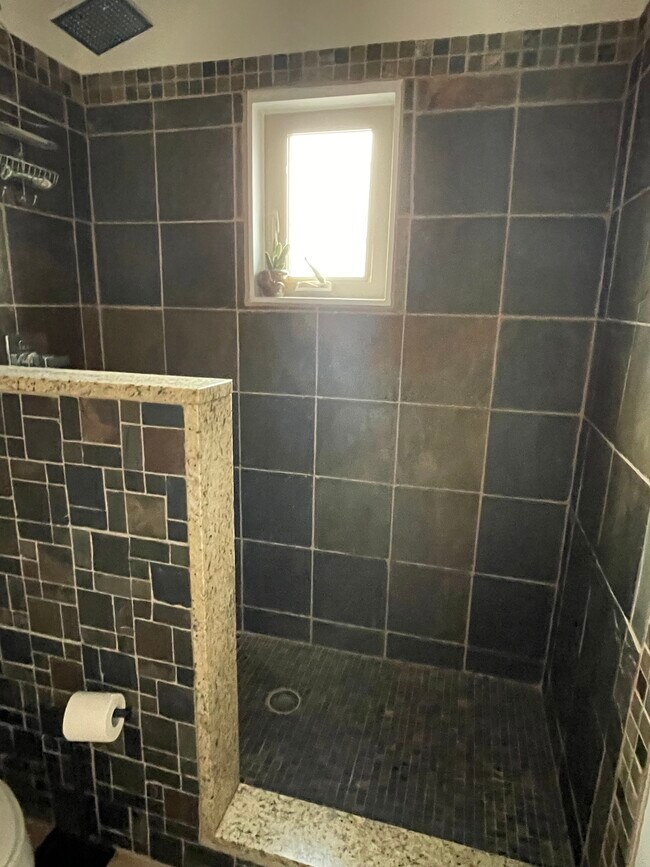 large tiled shower - 1720 Corey St