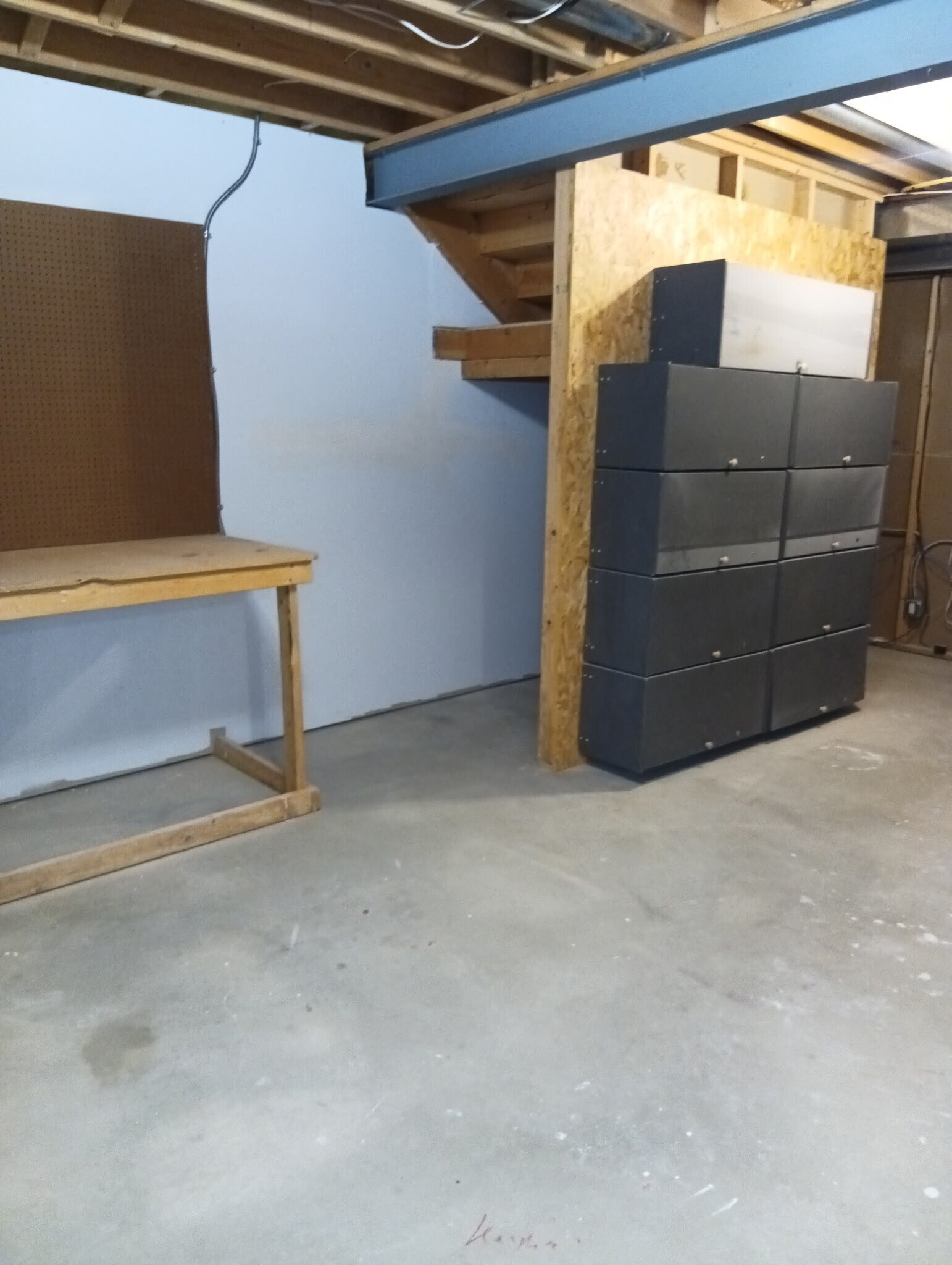 Basement storage - 2928 Blackhawk Dr