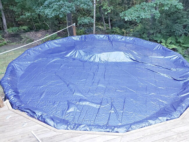 Building Photo - 13 Aldrich St