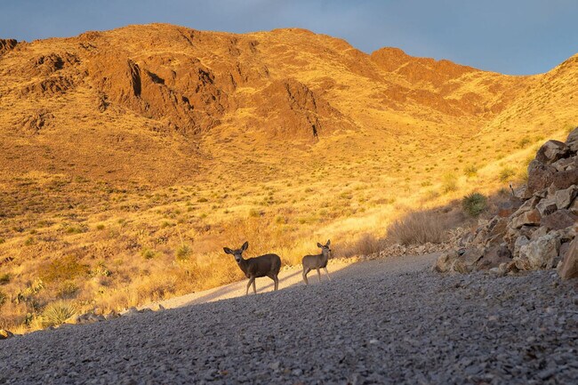 Building Photo - 12705 Chuck Wagon Rd