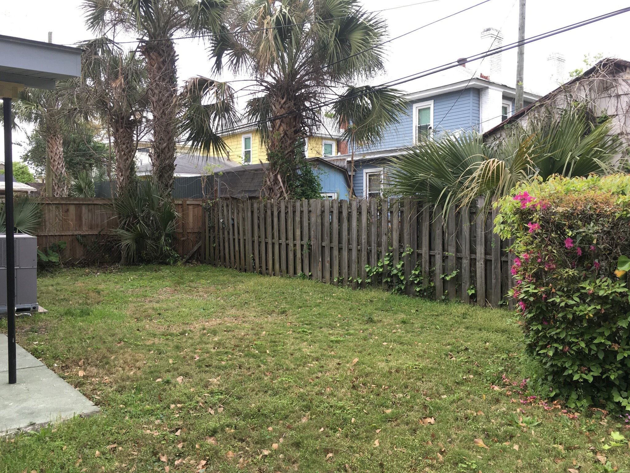 Rear yard - 816 Maupas Ave