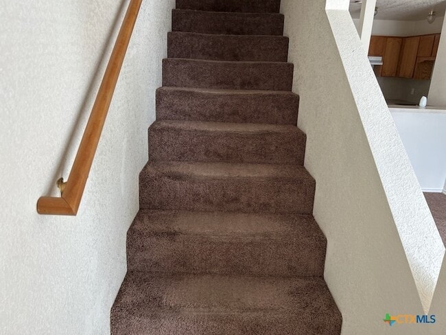 Building Photo - 2709 Vernice Loop