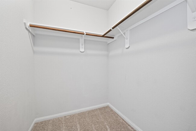 Building Photo - 4818 Blue Jacaranda Wy