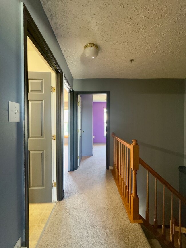 Building Photo - 537 MacIntosh Cir