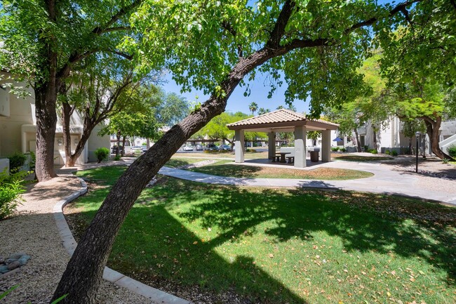 Building Photo - Beautifully upgraded Condo in Scottsdale AZ!