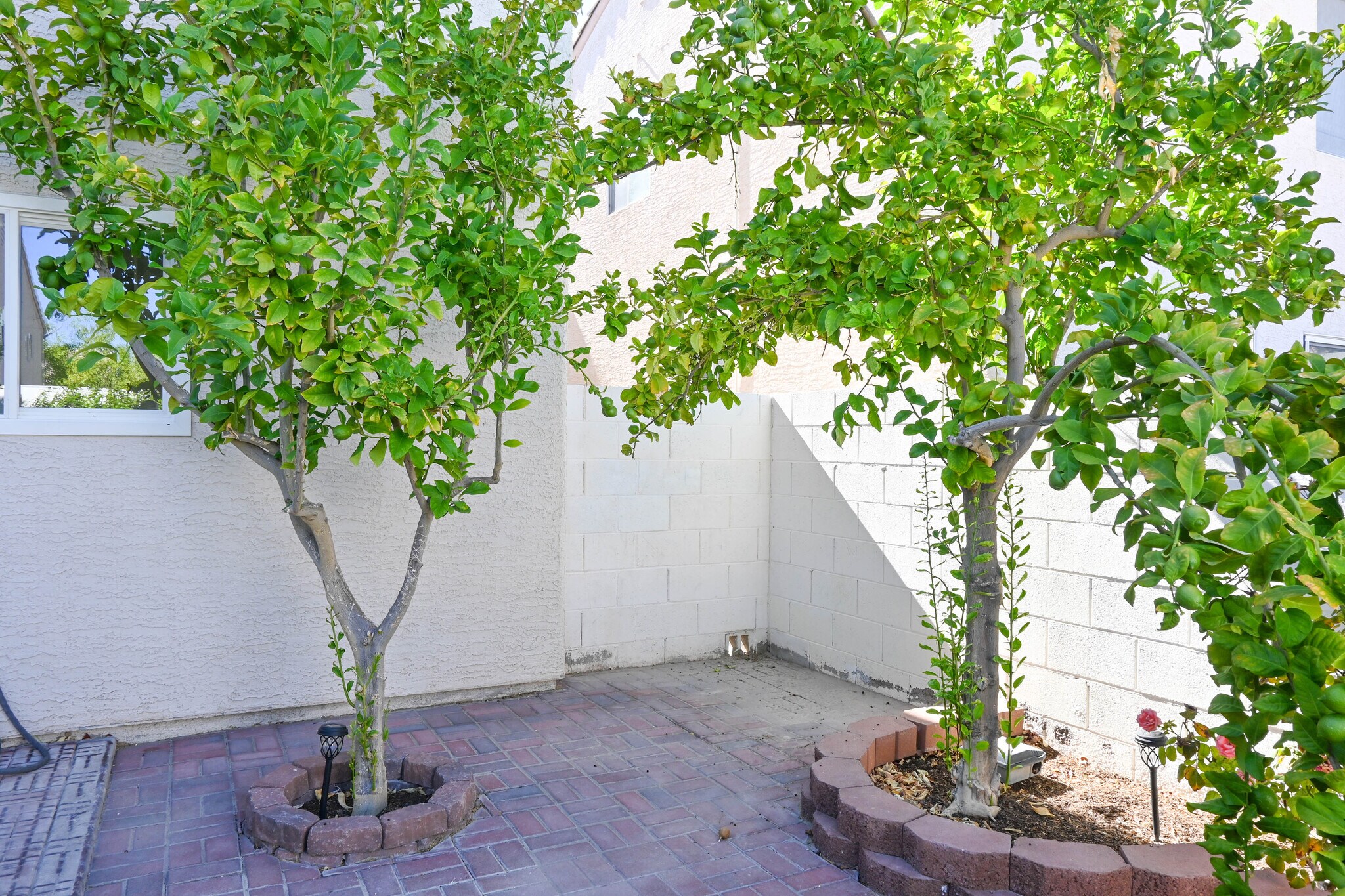 Building Photo - 7924 Horn Tail Ct